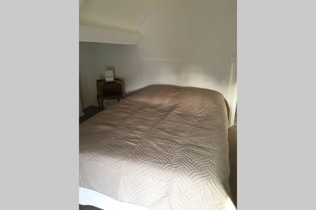 Appartement 4 Couchages , Equipe De La Fibre 布里亚尔 外观 照片