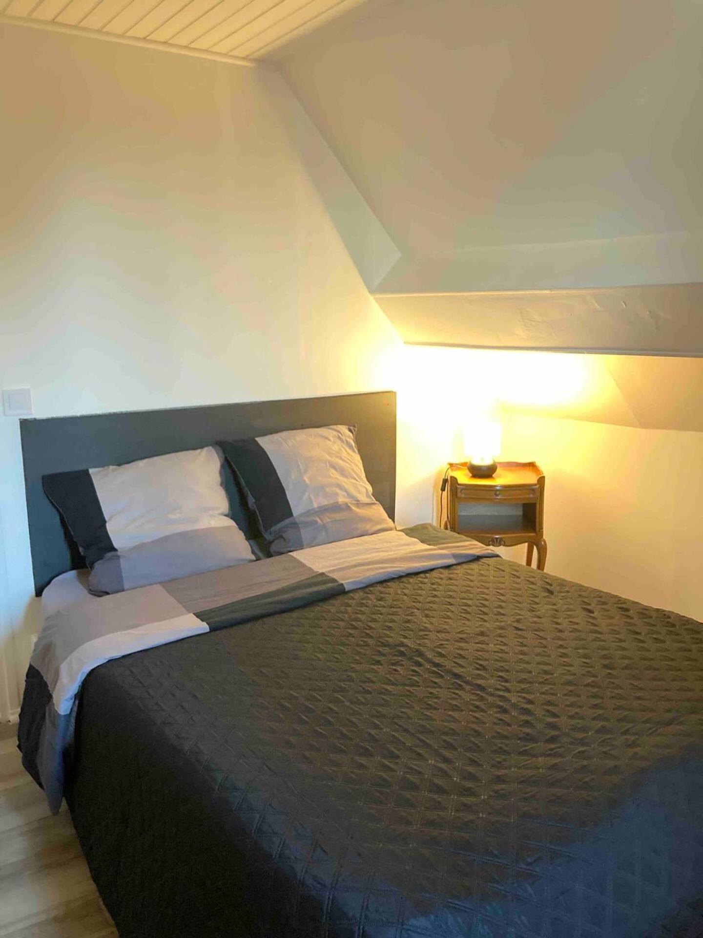 Appartement 4 Couchages , Equipe De La Fibre 布里亚尔 外观 照片